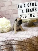 processed/c9756e70-efdf-42cf-84f1-e480dcc6a0fb/listing/4bc89c2e-68a3-4a49-bdf1-cee81aa6d875/8a81a4db-9d3a-443b-a7d4-dcc5e1036f8f