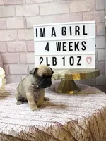 processed/c9756e70-efdf-42cf-84f1-e480dcc6a0fb/listing/4bc89c2e-68a3-4a49-bdf1-cee81aa6d875/8f7508d4-7465-4626-9271-ee5d68d18fb5