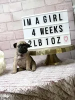 processed/c9756e70-efdf-42cf-84f1-e480dcc6a0fb/listing/4bc89c2e-68a3-4a49-bdf1-cee81aa6d875/961f43c4-f558-4c69-9094-83cb2650145a