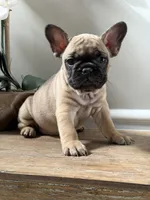 processed/c9756e70-efdf-42cf-84f1-e480dcc6a0fb/listing/77bb06b5-bc2a-4c31-b733-1bdcc66240b2/89e4fc4f-f78c-48e3-9db8-282d083e6923