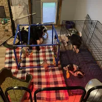 processed/c97a8e3e-b250-4724-ae2f-3035c57d1eaa/facility/048e0f14-61bf-485b-88f5-7e997636e72c