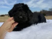 processed/c9830788-d224-4dc1-b91f-b0e29d6a330e/listing/6e3d4cf3-e780-495f-befd-19c9639d7dbd/100bf717-6683-476c-a4c2-40b8d6ae2b44