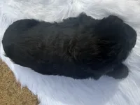 processed/c9830788-d224-4dc1-b91f-b0e29d6a330e/listing/6e3d4cf3-e780-495f-befd-19c9639d7dbd/883bf4ab-e52a-4718-91df-2480ae6d1ab6