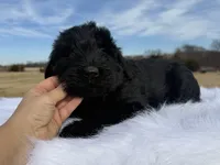 processed/c9830788-d224-4dc1-b91f-b0e29d6a330e/listing/6e3d4cf3-e780-495f-befd-19c9639d7dbd/a3820728-77d8-4e92-a1a5-7eeca9ac4cd1