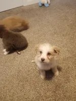 processed/c986c8ff-5367-438e-8578-26c7dd22780c/listing/b0a78c7e-4cb7-4a8b-9115-ae449af51a0d/7686b1b9-2387-4c5a-a105-dda277030440