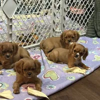 processed/c989b214-5da7-4235-813b-72513cc734bb/facility/9df9bd2e-852c-43d4-8d02-21f37d873d4f