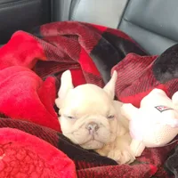 processed/c98e49da-21d6-4376-91e6-e547120ed72b/facility/72a10af9-b8c4-46bc-a2e0-298901c4c355