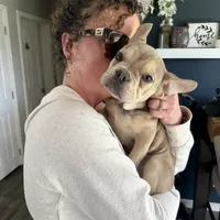 processed/c98e49da-21d6-4376-91e6-e547120ed72b/facility/78859eea-8140-4a66-b9e1-735c06bc2b0d