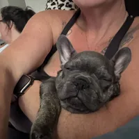 processed/c98e49da-21d6-4376-91e6-e547120ed72b/facility/85e5b602-32c3-4186-bf2e-f058fd8b83da