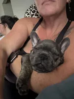 processed/c98e49da-21d6-4376-91e6-e547120ed72b/facility/85e5b602-32c3-4186-bf2e-f058fd8b83da