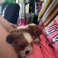 processed/c98e49da-21d6-4376-91e6-e547120ed72b/facility/ac7f2ab4-f0c6-4c05-8eb8-f74b4380966d