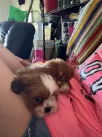 processed/c98e49da-21d6-4376-91e6-e547120ed72b/facility/ac7f2ab4-f0c6-4c05-8eb8-f74b4380966d