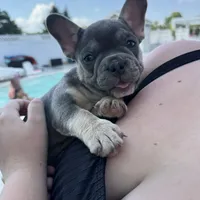 processed/c98e49da-21d6-4376-91e6-e547120ed72b/facility/bced7786-0aa0-4147-a27d-e3b4d79a7aa4