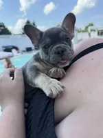 processed/c98e49da-21d6-4376-91e6-e547120ed72b/facility/bced7786-0aa0-4147-a27d-e3b4d79a7aa4