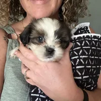 processed/c98e49da-21d6-4376-91e6-e547120ed72b/facility/d2d8dc8d-393b-43d2-9fe2-f35f7586f1ba