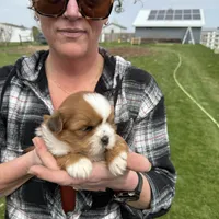 processed/c98e49da-21d6-4376-91e6-e547120ed72b/facility/d7ea4eda-db84-41ee-a43f-fd744a69c68b