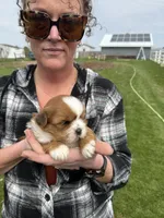 processed/c98e49da-21d6-4376-91e6-e547120ed72b/facility/d7ea4eda-db84-41ee-a43f-fd744a69c68b