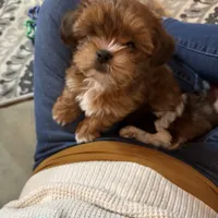 processed/c98e49da-21d6-4376-91e6-e547120ed72b/facility/e06e1218-2a3f-4990-ad1f-9acb0ee31eda