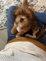 processed/c98e49da-21d6-4376-91e6-e547120ed72b/facility/e06e1218-2a3f-4990-ad1f-9acb0ee31eda