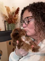 processed/c98e49da-21d6-4376-91e6-e547120ed72b/facility/e5685dca-f2b0-4854-a0b3-7ce569c5ee58