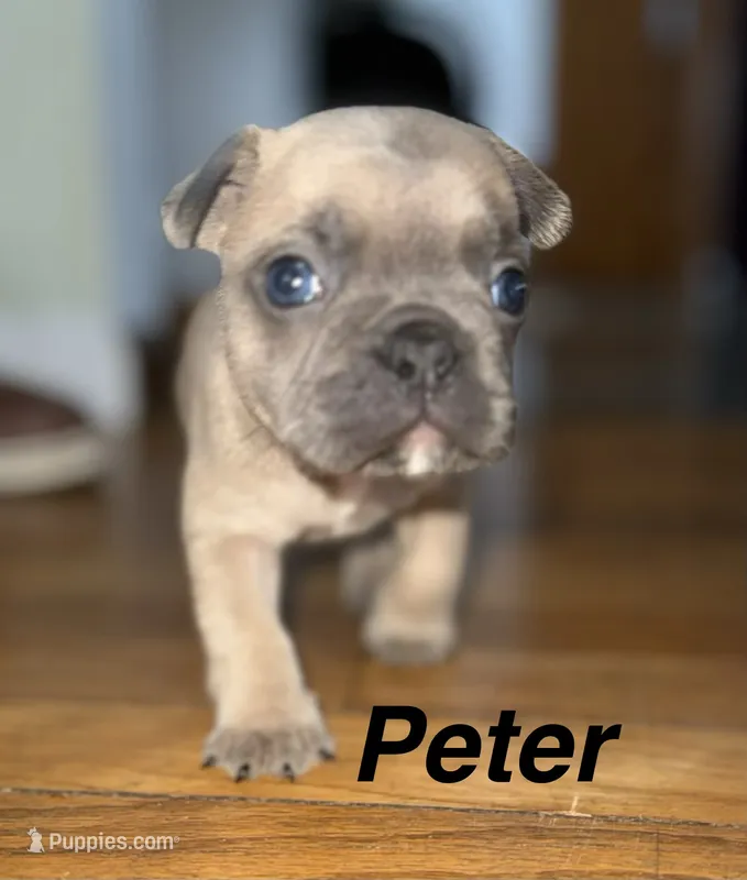 Peter