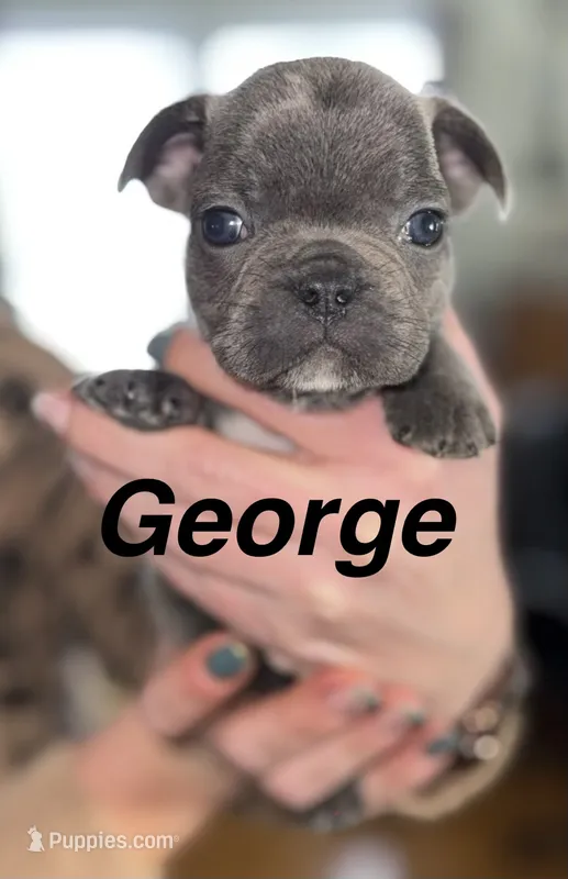 George