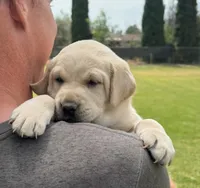 processed/c9903765-079a-4788-bb36-3b57585eda57/facility/1af08cfc-5c6d-4855-92f9-383aeea22de3