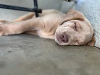 processed/c9903765-079a-4788-bb36-3b57585eda57/facility/3f764ce1-0906-4ed3-aa8f-9fe452041d1f