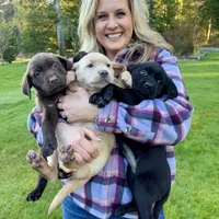 processed/c998ff5a-bf18-45d5-b4c5-6e0a6d4f6a48/facility/6b9b4f18-ef2f-4320-913b-1799978dde1c