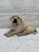 processed/c998ff5a-bf18-45d5-b4c5-6e0a6d4f6a48/listing/4c971dad-e951-4740-a6d1-b0fae2cdf3f9/6f05b19f-65ab-420e-80a3-b7aad99d1760