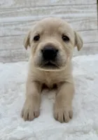 processed/c998ff5a-bf18-45d5-b4c5-6e0a6d4f6a48/listing/4c971dad-e951-4740-a6d1-b0fae2cdf3f9/88f4f7d1-b6d5-435d-bed1-525d440f99a7