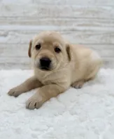 processed/c998ff5a-bf18-45d5-b4c5-6e0a6d4f6a48/listing/4c971dad-e951-4740-a6d1-b0fae2cdf3f9/f49e5652-6d28-40c9-8409-7cb38d7c682d