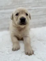 processed/c998ff5a-bf18-45d5-b4c5-6e0a6d4f6a48/listing/8e5e7992-d9d6-4e76-b154-db1466d5a361/542ceaf1-895e-4b22-9227-211add8c1834