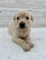 processed/c998ff5a-bf18-45d5-b4c5-6e0a6d4f6a48/listing/8e5e7992-d9d6-4e76-b154-db1466d5a361/64943928-cc6e-4bba-a2d8-1997925cd9cf