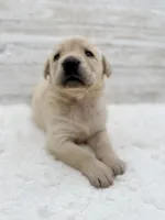 processed/c998ff5a-bf18-45d5-b4c5-6e0a6d4f6a48/listing/8e5e7992-d9d6-4e76-b154-db1466d5a361/8b528d76-1121-45ed-9ae1-8abff4abf5c0