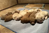 Facility photo