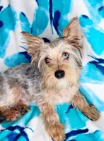 processed/c9a9e32e-6f25-45b5-9eae-9151d2c48407/listing/affdad62-1e16-4a76-af35-69a3a66ebfa5/7cecfee0-efdd-4185-8fa7-92ed6c7c1c10