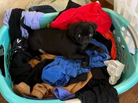 processed/c9ae71df-ed48-465a-a854-0b59704f4059/facility/1e3fd218-40f5-4574-8c3e-c69c7b4ead16