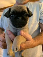 processed/c9ae71df-ed48-465a-a854-0b59704f4059/facility/264e6b8a-a301-434e-943b-8bd5513e2f3c