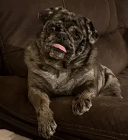 processed/c9ae71df-ed48-465a-a854-0b59704f4059/facility/312d4382-39cf-4258-bbf4-79911a28f028