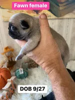 processed/c9ae71df-ed48-465a-a854-0b59704f4059/facility/6ce09cdd-1984-4923-b724-a30039521315