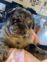 processed/c9ae71df-ed48-465a-a854-0b59704f4059/facility/a3aa73be-6b18-422b-a61b-e67b62b64fdf