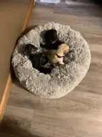 processed/c9ae71df-ed48-465a-a854-0b59704f4059/facility/e9764cb4-eaac-4811-9dfa-a80c1c76e969