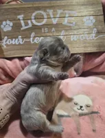 processed/c9af8f87-6e95-4d12-bb0a-330378ecdaed/listing/28c8405c-e2ae-417d-b998-0e03bb4a4418/800e4bb6-cc9f-49a1-ad45-507dd7368b94