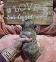 processed/c9af8f87-6e95-4d12-bb0a-330378ecdaed/listing/28c8405c-e2ae-417d-b998-0e03bb4a4418/86bf397d-efe9-4022-bc4d-d961effff547