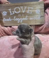 processed/c9af8f87-6e95-4d12-bb0a-330378ecdaed/listing/28c8405c-e2ae-417d-b998-0e03bb4a4418/b2d8aadf-fba3-43e4-b987-009d30d821cb