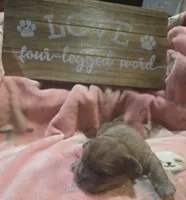 processed/c9af8f87-6e95-4d12-bb0a-330378ecdaed/listing/2ba1fa1a-1a02-40f8-8863-420d283526fa/cbfb3dfd-7096-40fe-90d2-857a8591ff4b