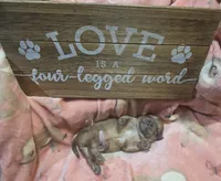 processed/c9af8f87-6e95-4d12-bb0a-330378ecdaed/listing/2ba1fa1a-1a02-40f8-8863-420d283526fa/f1d023c9-ac39-4a1d-9004-f4919cd7aef3