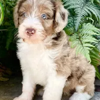 processed/c9aff989-fd72-41f4-b0ee-4272036e2bc4/facility/0c7bf015-a3cc-4fad-a5bc-b4b39fce9f2d