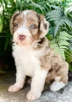 processed/c9aff989-fd72-41f4-b0ee-4272036e2bc4/facility/0c7bf015-a3cc-4fad-a5bc-b4b39fce9f2d